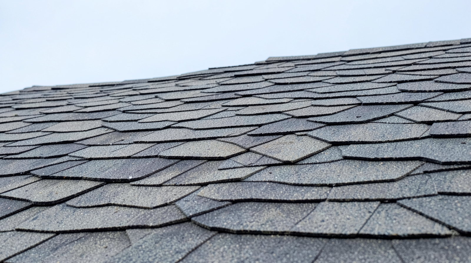 Roof Washing (Soft Wash) in Brandon, FL in Brandon