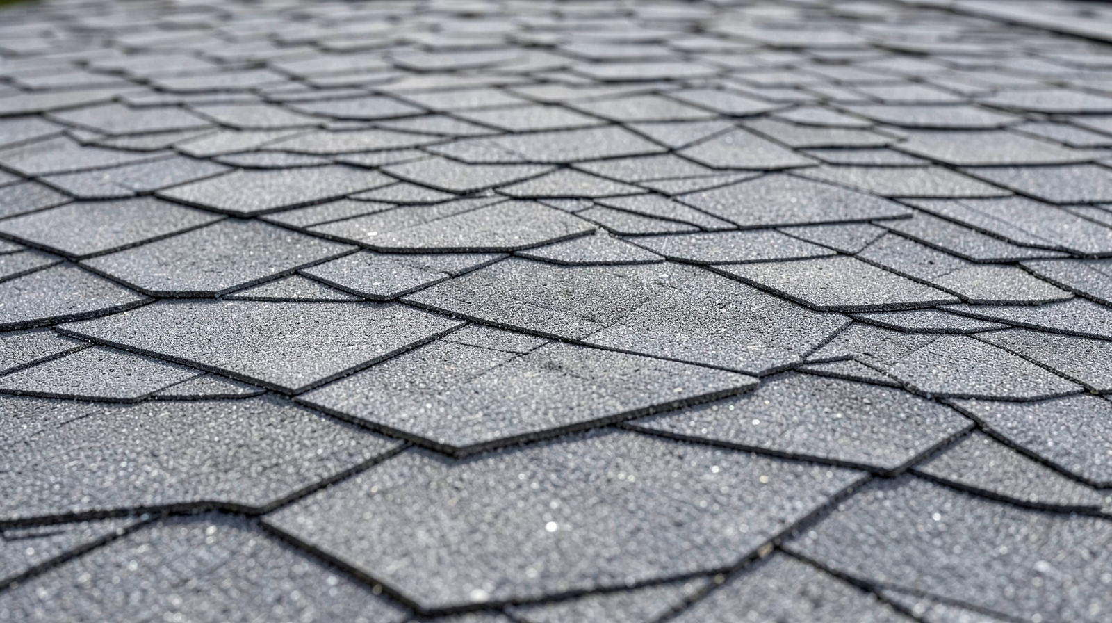 Roof Washing (Soft Wash) in Johns Creek, GA in Johns Creek