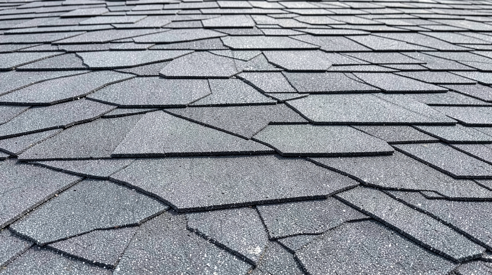 Roof Washing (Soft Wash) in Magnolia, TX in Magnolia