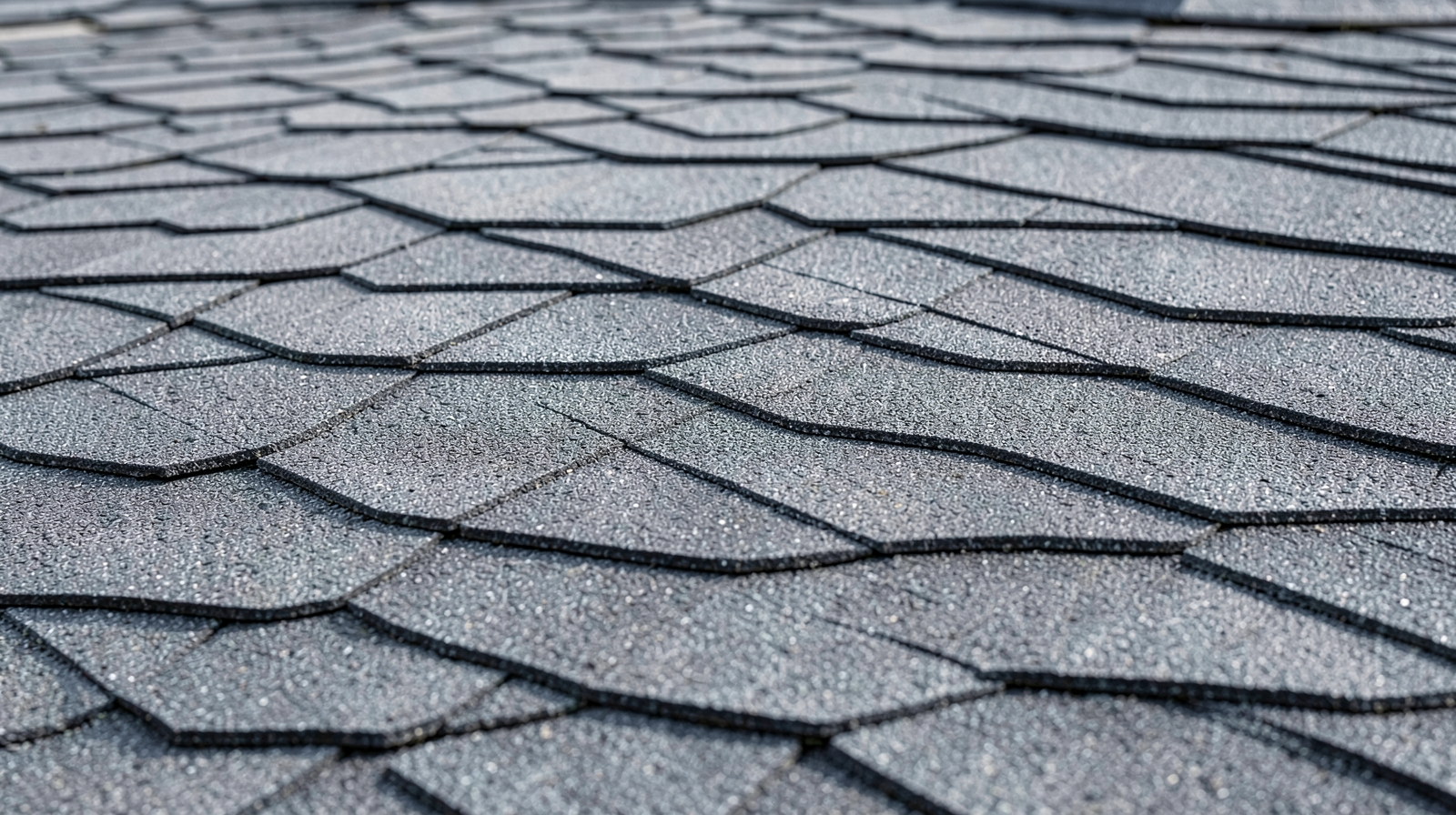 Roof Washing (Soft Wash) in Orange Park, FL in Orange Park