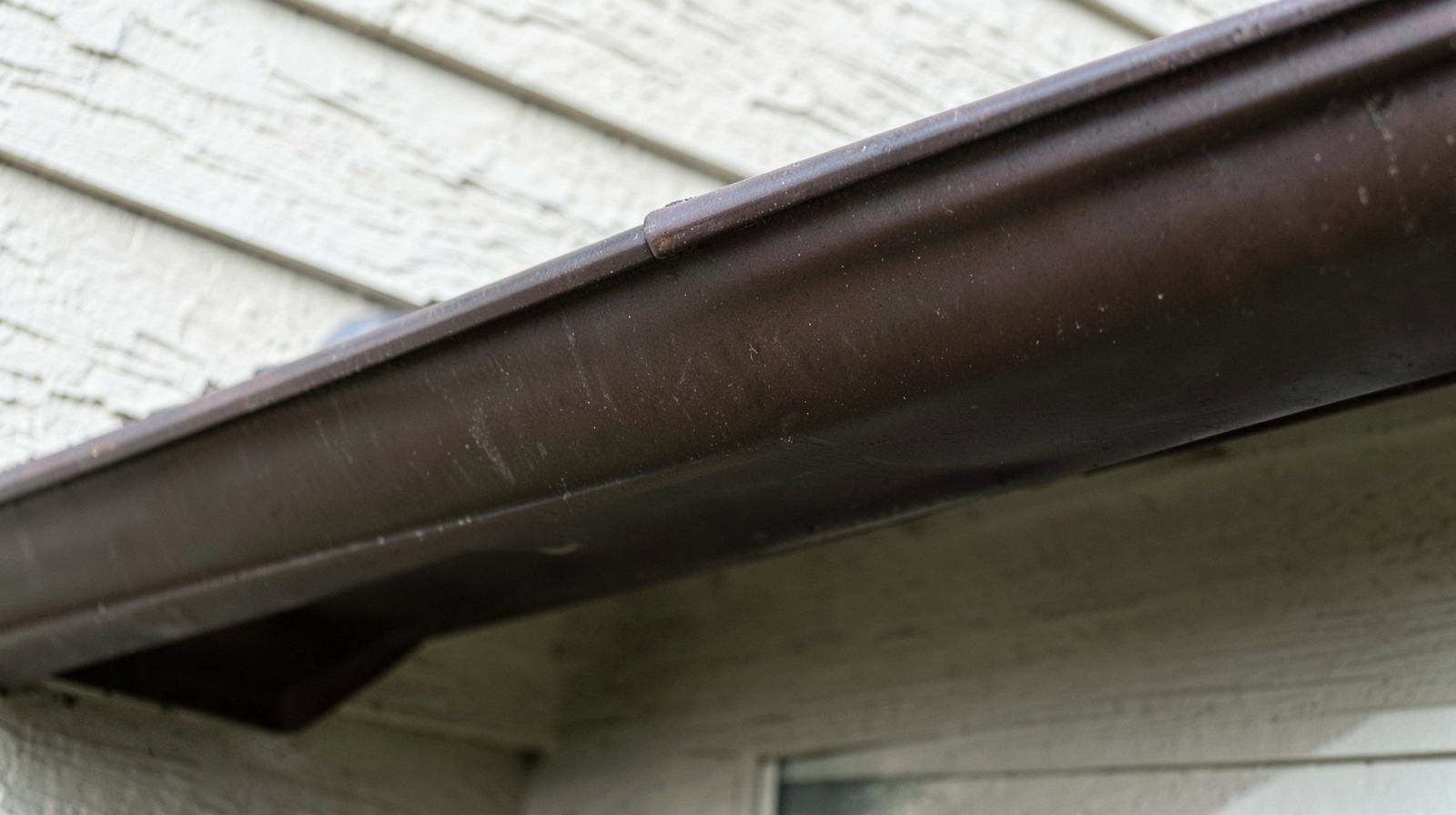 Gutter Cleaning in Palmetto, FL
