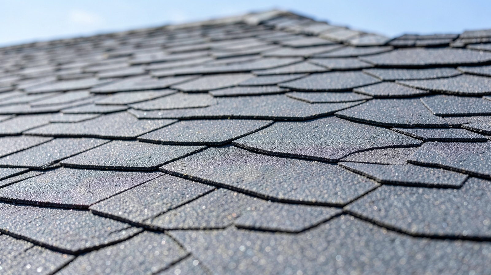Roof Washing (Soft Wash) in Palmetto, FL